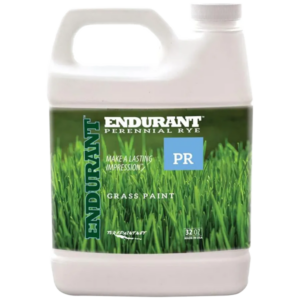 Endurant Perennial Rye